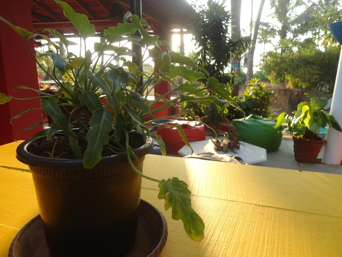 The Yuppi Hippi Female Hostel Anjuna Eksteriør bilde